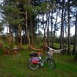 Hébergement de vacances Happy Cat House -