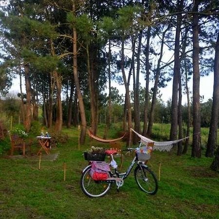 Dom wakacyjny Happy Cat House -