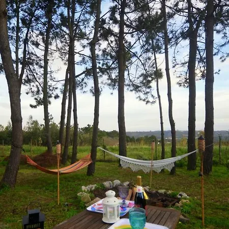 Dom wakacyjny Happy Cat House - *