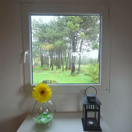 Happy Cat House - *