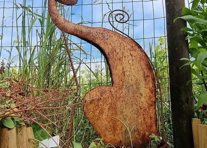 Happy Cat House - Casa vacanze *