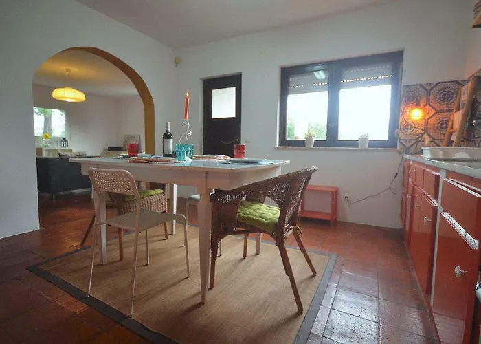 Happy Cat House - São Martinho do Porto